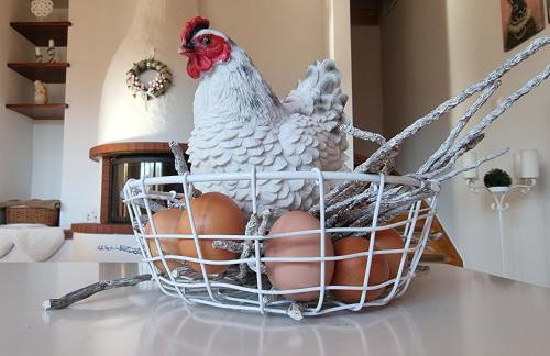 NaszjestWasz - Foto 11