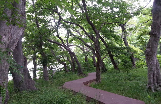 Namhae Gagopa Pension - Foto 70