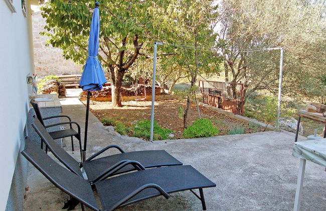 House Pansy - Foto 5