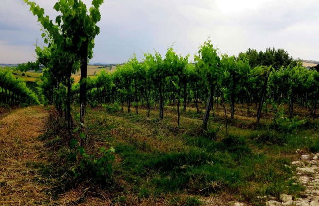 Tranquil Retreat With Valley Views - Foto 22