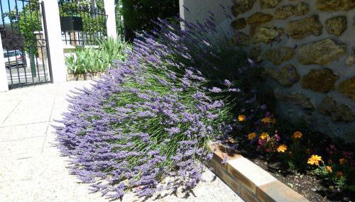 REF 01 studio BAGNEUX 5 minutes à pied métro BARBARA ligne 4 - Foto 3