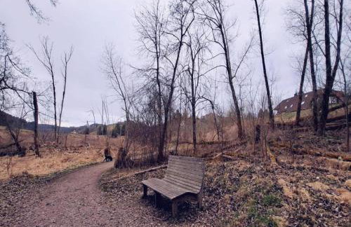 Ferienhaus, Sankt Georgen - Foto 33