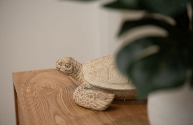 Reef Apartment Cairns - 4 Pools Resort BBQ - Photo 27