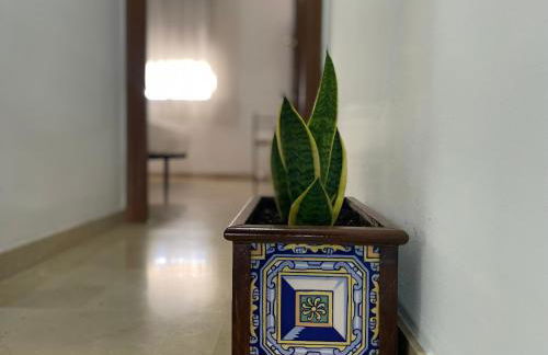 Vega House - Foto 15