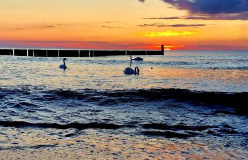 Duna Verde, Duna Marina - Foto 57