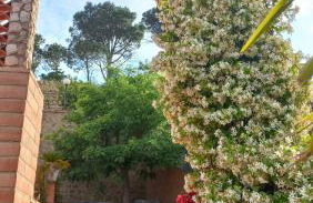 Villa Verde - Foto 13