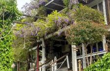 Mare Maravella Costa Brava Nature - Foto 80