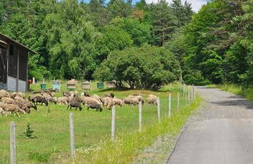 Agroturystyka Stara Huta - Domek Boho - Foto 44