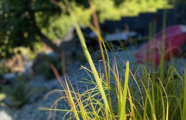 Sotto il fico - Foto 19