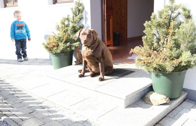 Charming Holiday Home in Huttau With Barbecue - Foto 26