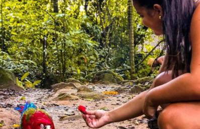 Experiência a bordo em Angra - Foto 10