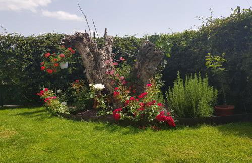 Vicus House - Foto 9