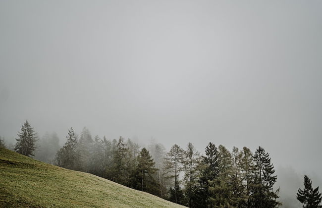 Aparthotel My Daum - Foto 33