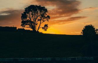 Nascer Do Sol Retreat Villa - Photo 47