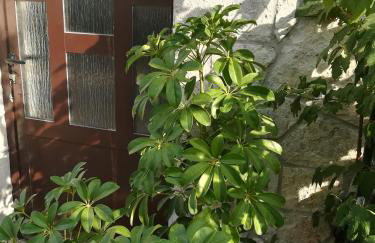 Apartman Nada - Foto 3