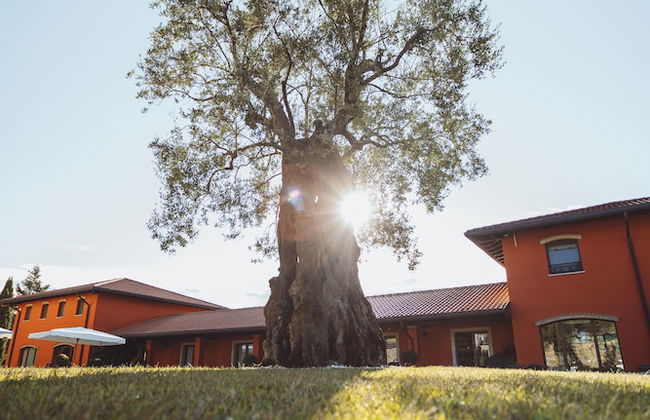 Il Roncal Wine Resort - Foto 39