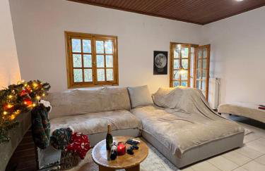 Forest view Aggeliki - Foto 6