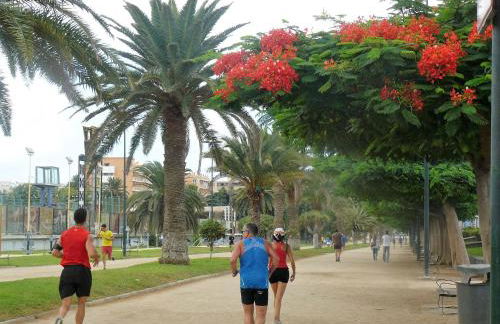 Casa Cafer - Foto 16