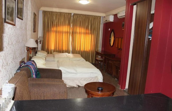 Rana Palace - Foto 6