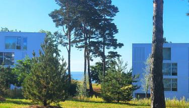 Lust auf Meer - Ferienwohnung mit Terrasse & Sauna - Foto 1, Garden, Garden view