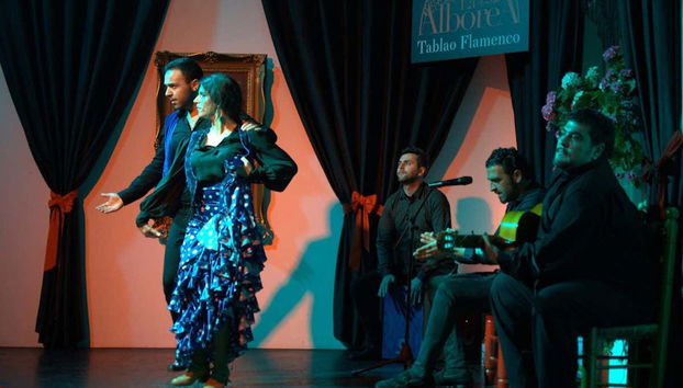 Enjoying the flamenco show