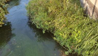 Les berges du moulin - Foto 5