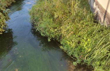 Les berges du moulin - Foto 5