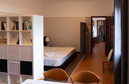 AL Ribeirinho - Foto 11