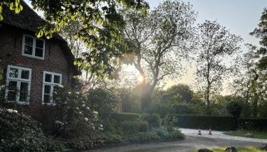 Ferienwohnung "Altes Pastorat" - Foto 5