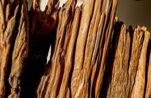 Rockhopper Cottage Lower Largo - Foto 41