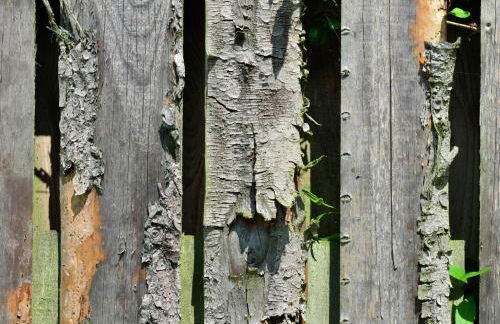 Apartment in the Hochsauerland region in a quiet location - Foto 106