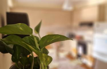 V for the View - Foto 28