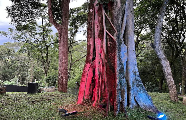 Villazul 1 - Foto 44