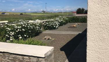 Park Cottage - Foto 5, Garden