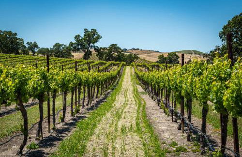 Hilltop Oasis - Foto 61