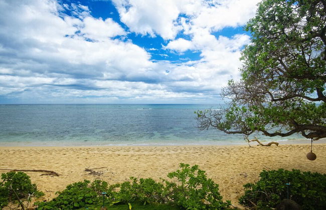 Tiki Moon Villas - Foto 42