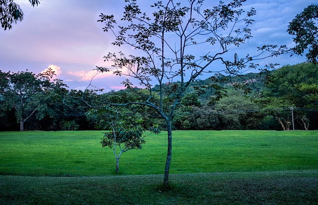 Near2Numbi - Foto 55