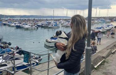 Adorable bedsit for you, partner and your pet! - Foto 42