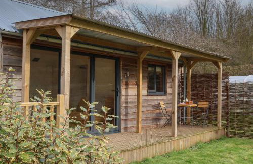 Beech Tree Cabin - Foto 15