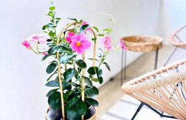 Libra Light - Foto 5