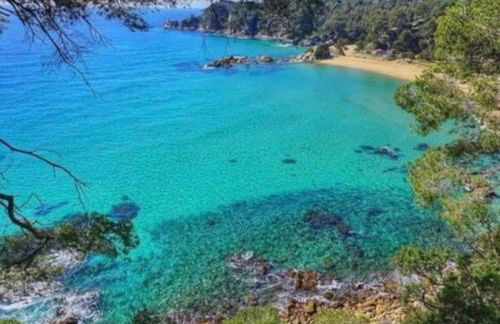 SeaHomes Vacations - ACACIAS Beach&Chic - Foto 27