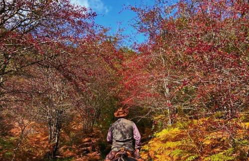 Casa Anna Cerasuolo - intera casa indipendente in borgo - Foto 38