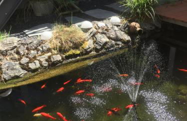 Wohlfühl-Oase - Foto 39