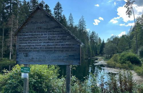 Schwarzwaldhaus Zwink - Foto 25