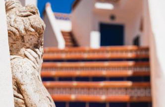 Algarrobo Azul - Foto 20