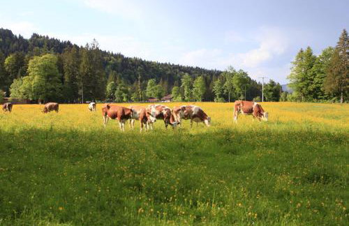 Naturhaus Leger - Photo 23