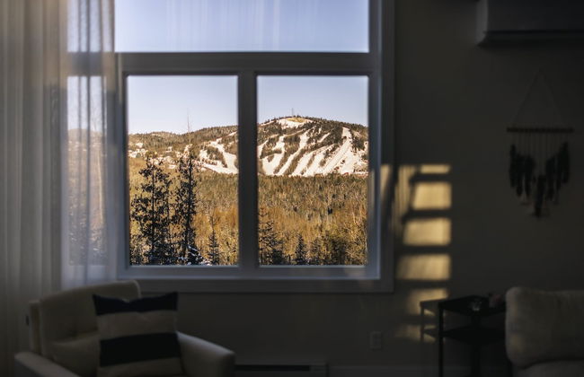 Le Sherpa -spa Billard et acc s au lac - Foto 69