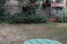 Guernazelles - Foto 22