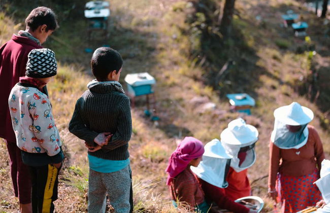 Excursión a los cafetales de Sarangkot - Foto 1