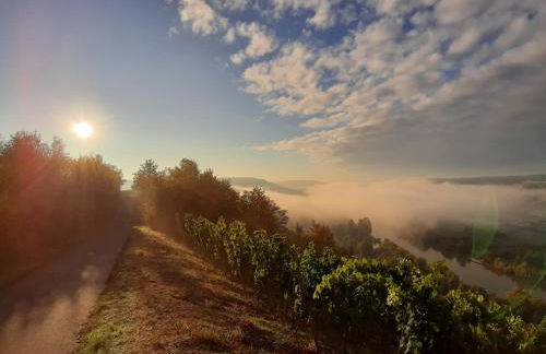 Ferienwohnung Markert - Neben den Weinbergen - Foto 13